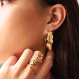 Oyster Hoops