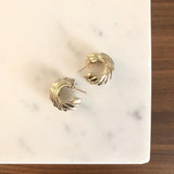 Dome Topography Hoops